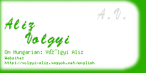 aliz volgyi business card